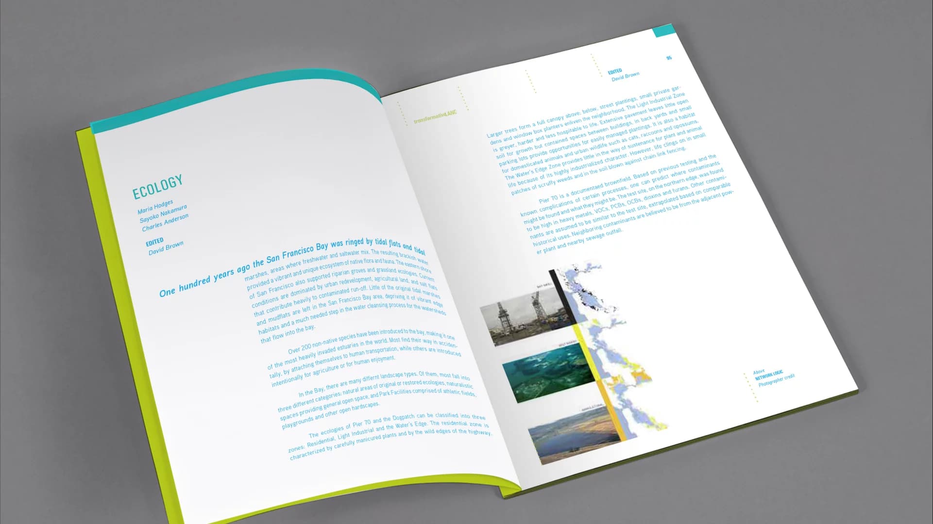 creative gallery image